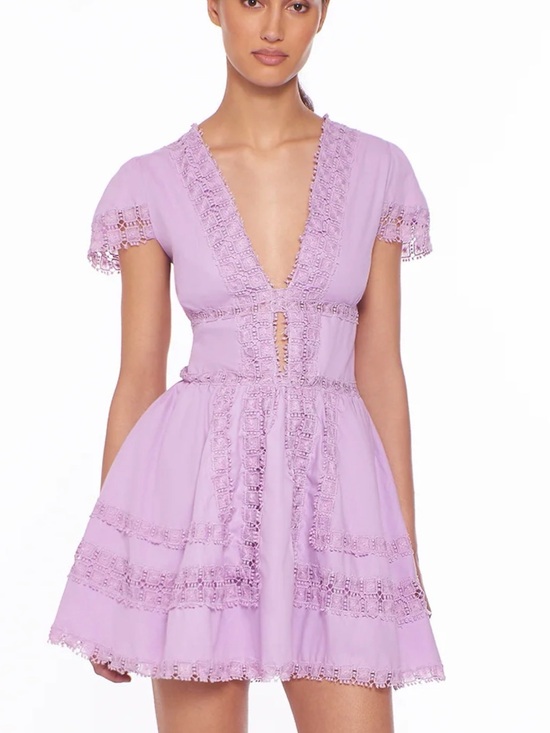 Peixoto Dresses & Skirts - Peixoto Piper Mini Dress in Lavender